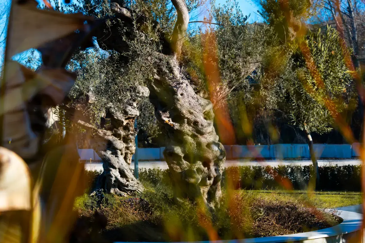 Ambienti Casa Funeraria L'Oltre - Immagine 8